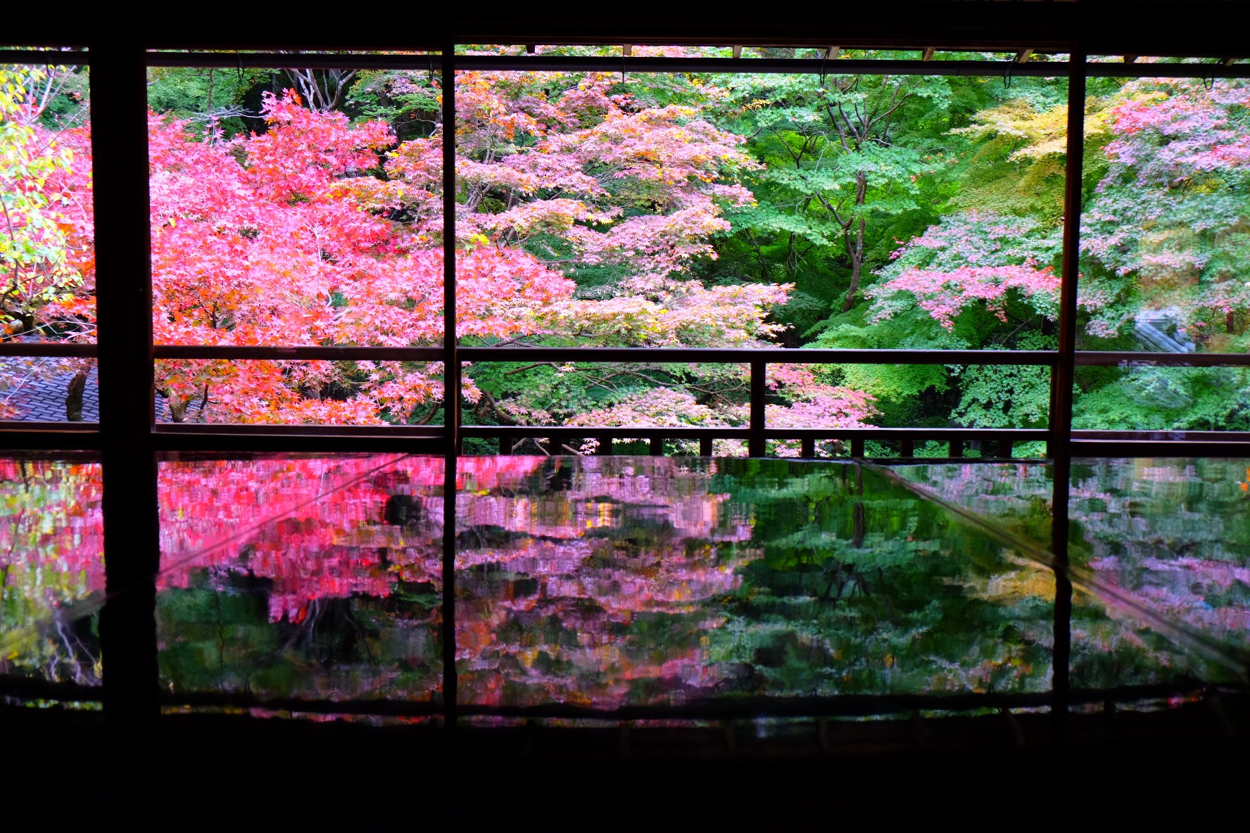 Autumn foliage seen from a traditional interior, reflected on a polished surface.