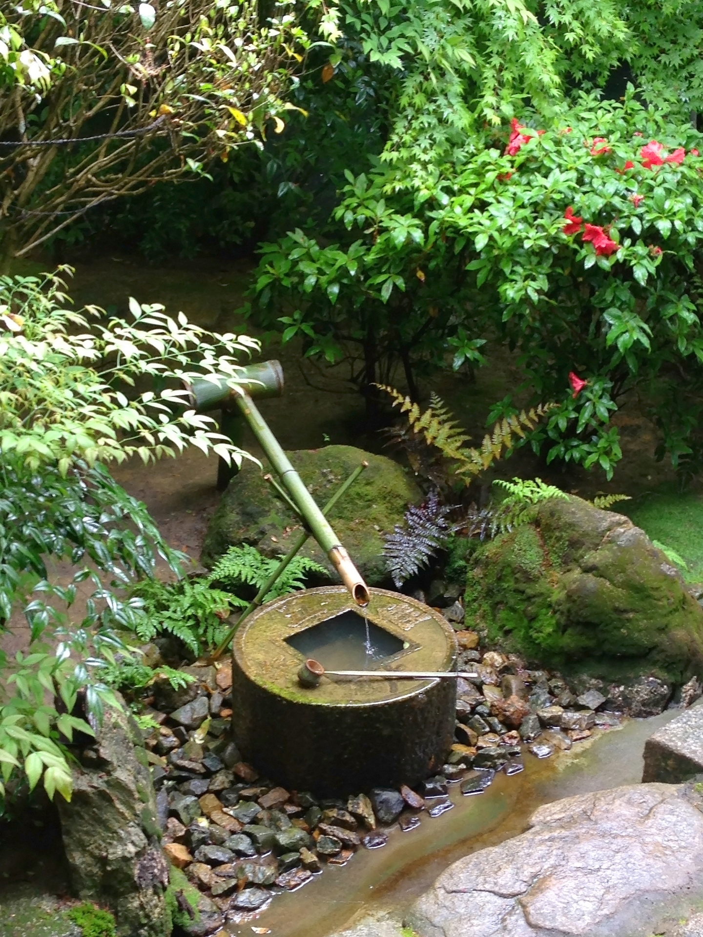 A stone tsukubai basin with a bamboo water spout, surrounded by moss, rocks and garden greenery.